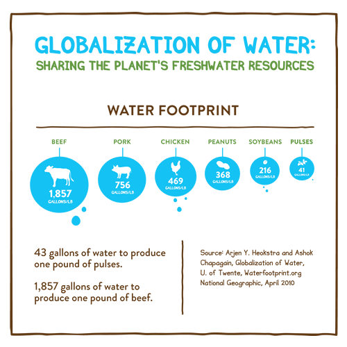 The Water Footprint of Pulse Production