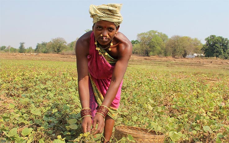 Urmila Pujari farming in India
