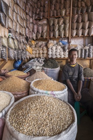 Ethiopia Pulses