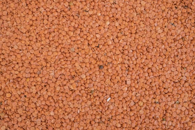 Ethiopia Pulses