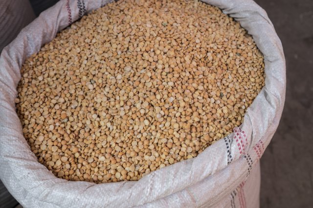 Ethiopia Pulses