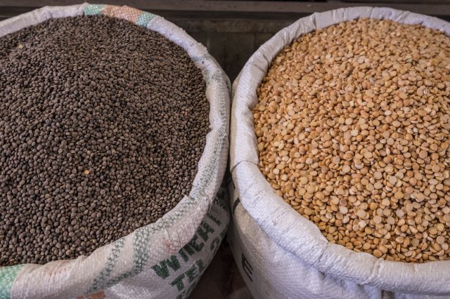 Ethiopia Pulses
