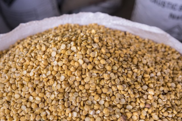 Ethiopia Pulses