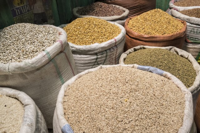 Ethiopia Pulses
