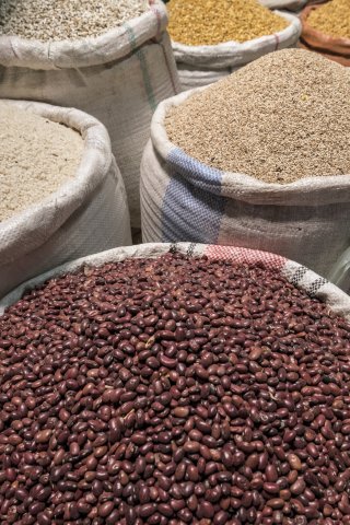 Ethiopia Pulses