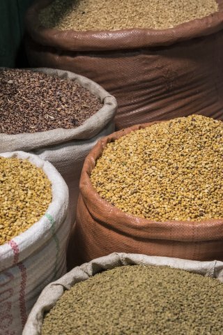 Ethiopia Pulses