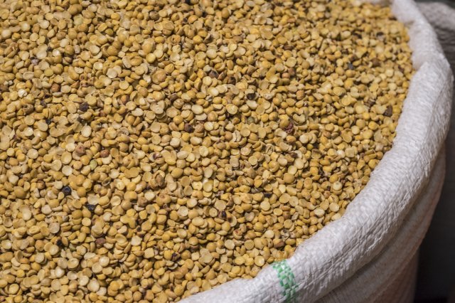 Ethiopia Pulses