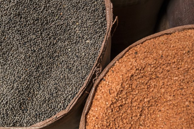Ethiopia Pulses