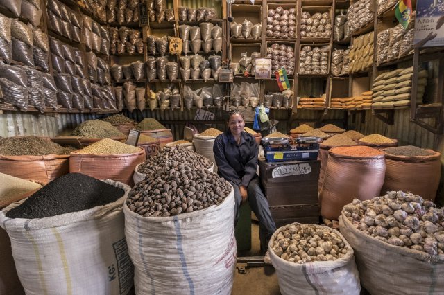 Ethiopia Pulses