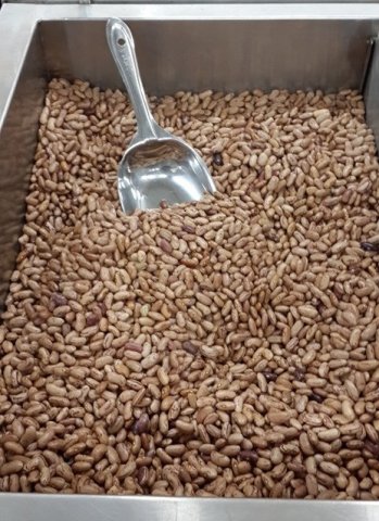 Pinto Beans