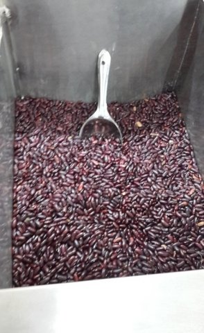 Kidney Beans