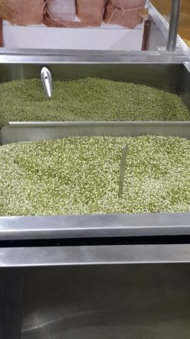 Mung Beans