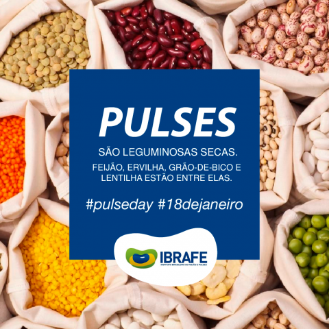 IBRAFE_posts_pulseday_1