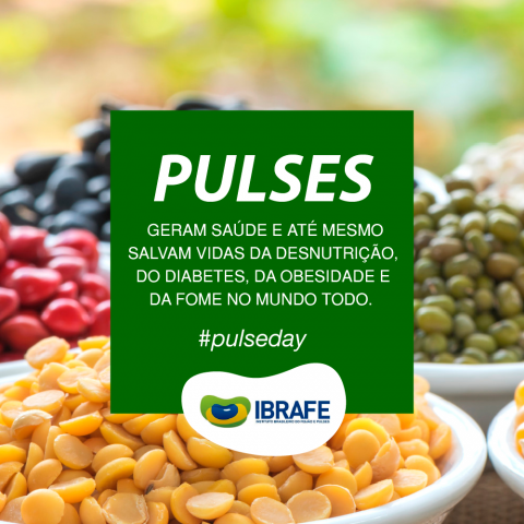 IBRAFE_posts_pulseday_2