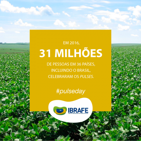 IBRAFE_posts_pulseday_3