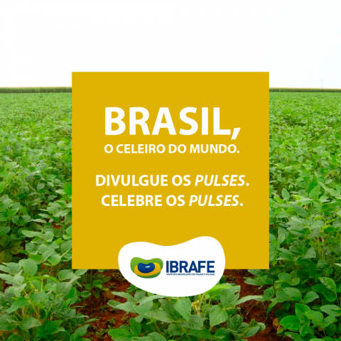 IBRAFE_posts_pulseday_6