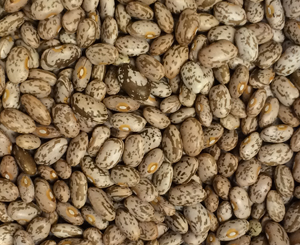 Pinto beans provide protein, fiber and other essential minerals.